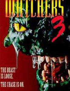 Наблюдатели 3