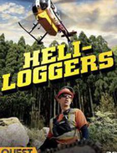 Лесозаготовщики на вертолете