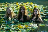 Кадр Сирены