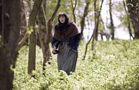 Кадр Тэсс из рода Д`Эрбервиллей (мини-сериал)