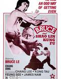 Постер из фильма "Брюс и кунг-фу монастыря Шао-Линь" - 1