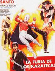 La furia de los karatecas
