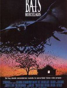 Летучие мыши