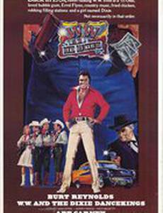 W.W. and the Dixie Dancekings