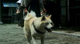Кадр из фильма "История Хатико" - 1