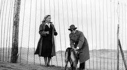 Кадр из фильма "Маменькины сынки" - 1