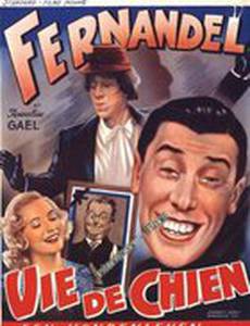 Собачья жизнь