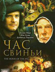 Час свиньи