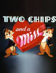 Два бурундука и одна мисс