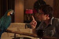 Кадр Ирония любви