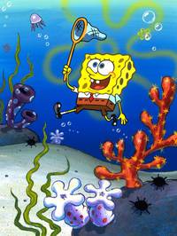 Кадр Губка Боб квадратные штаны