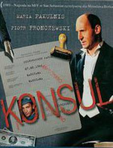 Консул