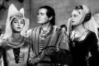 Кадр Вечерние посетители