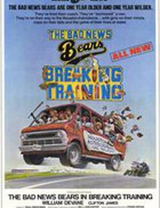 Несносные медведи в перерыве между тренировками