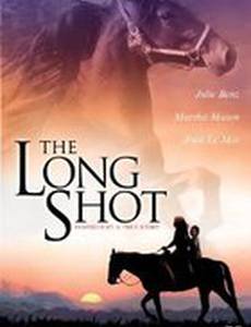 Большой риск