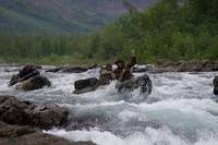 Кадр Территория