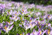 Кадр Больше чем мед