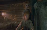 Кадр И на камнях растут деревья