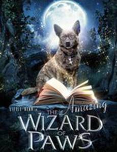 The Amazing Wizard of Paws