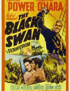 Черный лебедь