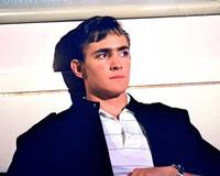 Кадр Дикая роза