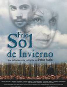 Холодное зимнее солнце