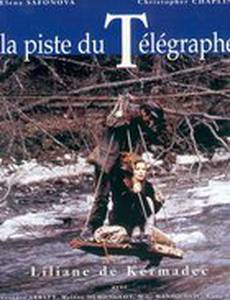 По следу телеграфа