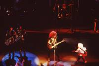 Кадр Говард-утка