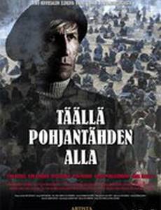 Здесь, под полярной звездой