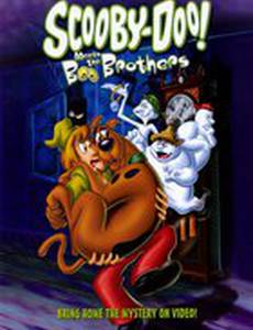 Скуби-Ду! встречает братьев Бу