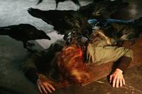 Кадр Воронье