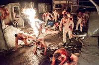 Кадр Хардкор