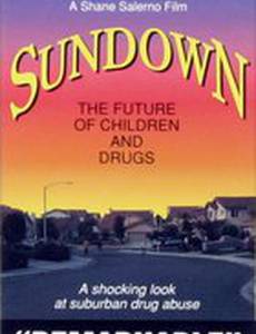 Sundown: The Future of Children and Drugs