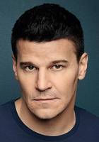 Дэвид Бореаназ