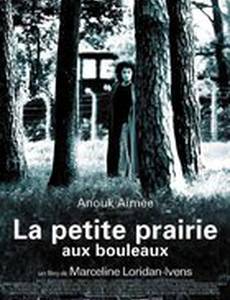 Березовый луг