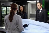 Кадр Агенты «Щ.И.Т.»