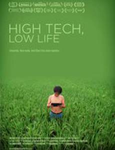 Высокие технологии, низкие истины