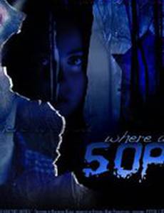 Где ты, София?