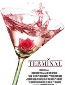 Terminal