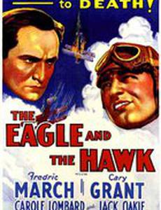 Орел и сокол