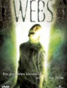 Паучьи сети