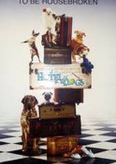 Отель для собак