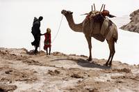 Кадр Когда ветер поднимает песок