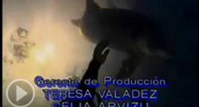 Вступительные титры