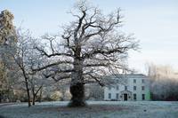 Кадр Филомена