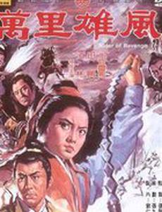 Всадник мести