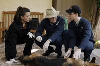 Кадр Морская полиция: Спецотдел