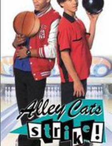 Меткий бросок