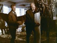 Кадр Барышни из Вилько