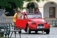 Кадр 2 ягоды